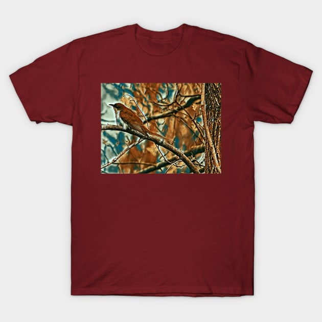 Black Billed Cuckoo T-Shirt by MaryLinH